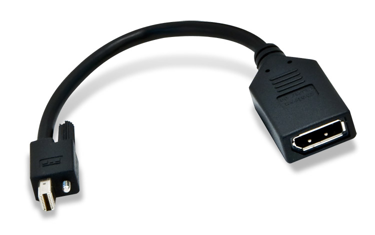 Mini DisplayPort to DisplayPort adaptor (sold separately).